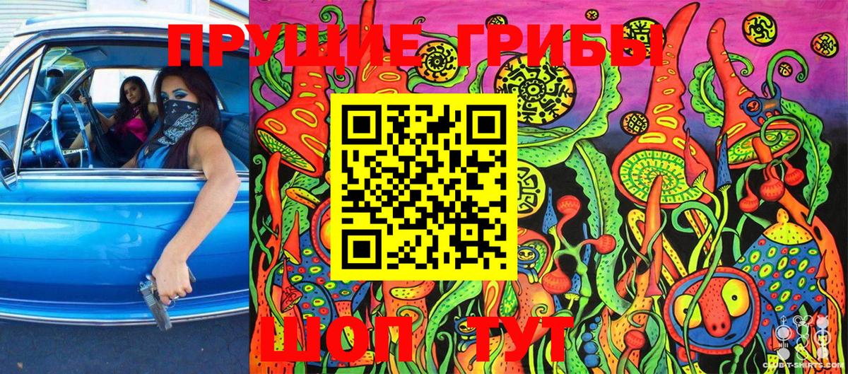 Псилоцибиновые грибы Psilocybine cubensis Гусев