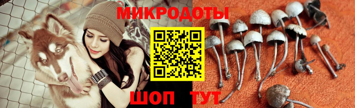 Псилоцибиновые грибы Psilocybe  Псилоцибиновые грибы ЛСД  как найти   Вход с VPN  Гусев 