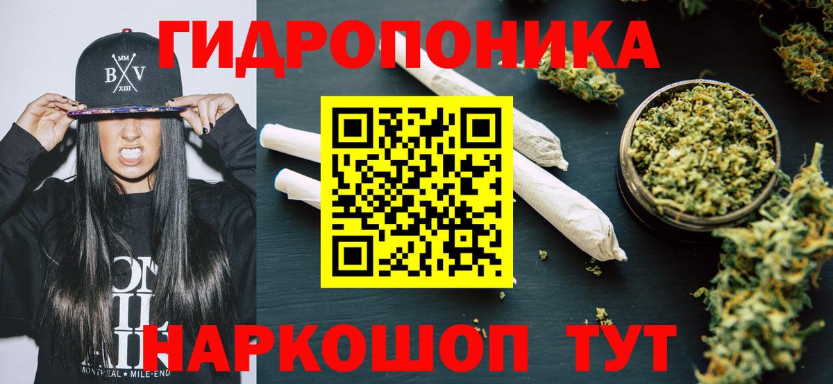 Каннабис планчик  Конопля марихуана  Вход с VPN  Гусев  Каннабис сатива 